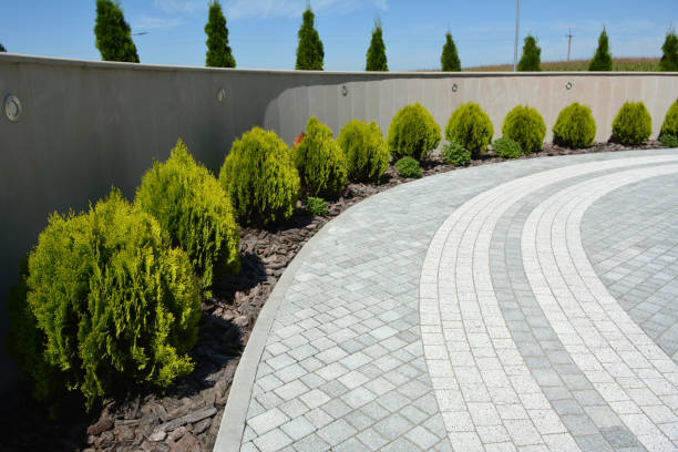 Best Professional Driveway Pavers  in Lemon Hill, CA
